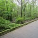 greenways-in-charlotte