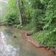 greenways-in-charlotte