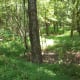 greenways-in-charlotte