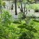 greenways-in-charlotte