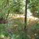 greenways-in-charlotte