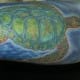 sea-turtle-tattoos-and-designs-sea-turtle-tattoo-meanings-and-ideas-sea-turtle-tattoo-pictures