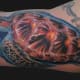 sea-turtle-tattoos-and-designs-sea-turtle-tattoo-meanings-and-ideas-sea-turtle-tattoo-pictures