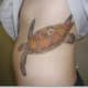 sea-turtle-tattoos-and-designs-sea-turtle-tattoo-meanings-and-ideas-sea-turtle-tattoo-pictures