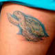 sea-turtle-tattoos-and-designs-sea-turtle-tattoo-meanings-and-ideas-sea-turtle-tattoo-pictures
