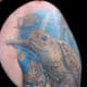 sea-turtle-tattoos-and-designs-sea-turtle-tattoo-meanings-and-ideas-sea-turtle-tattoo-pictures