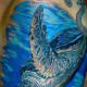 sea-turtle-tattoos-and-designs-sea-turtle-tattoo-meanings-and-ideas-sea-turtle-tattoo-pictures