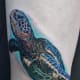 sea-turtle-tattoos-and-designs-sea-turtle-tattoo-meanings-and-ideas-sea-turtle-tattoo-pictures