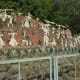 a-visit-to-the-rock-garden-in-chandigarh