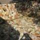 water tank made by using broken ceramic tiles