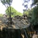 a-visit-to-the-rock-garden-in-chandigarh