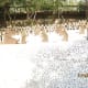 a-visit-to-the-rock-garden-in-chandigarh