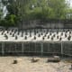 a-visit-to-the-rock-garden-in-chandigarh