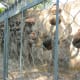 a-visit-to-the-rock-garden-in-chandigarh