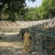 a-visit-to-the-rock-garden-in-chandigarh