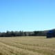 The timber frame construction of old barns gave it the strength to withstand time and weather.