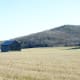 Built in the middle of an open field, this barn has withstood the winds and snowstorms of northern Michigan for well over a century.
