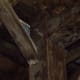 Notice the wooden pegs which help to secure the timber frame joints.