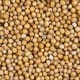 white or yellow mustard seeds