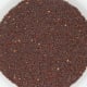 brown mustard seeds