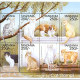 turkish-van-cat-breed