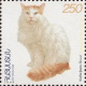 turkish-van-cat-breed
