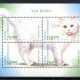turkish-van-cat-breed
