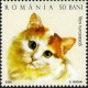 turkish-van-cat-breed