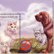 turkish-van-cat-breed