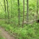 The Chestnut Trail at McDowell Nature Preserve, Charlotte, NC.