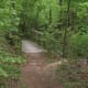 The Chestnut Trail at McDowell Nature Preserve, Charlotte, NC.