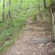 The Chestnut Trail at McDowell Nature Preserve, Charlotte, NC.