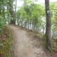 You can see on the right Lake Wylie. Kingfisher Trail at McDowell Nature Preserve, Charlotte, NC.