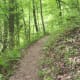 mcdowell-nature-preserve-charlotte-nc