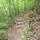 The Chestnut Trail at McDowell Nature Preserve, Charlotte, NC.