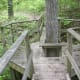 The Chestnut Trail at McDowell Nature Preserve, Charlotte, NC.