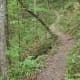 The Chestnut Trail at McDowell Nature Preserve, Charlotte, NC.