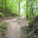 Kingfisher Trail at McDowell Nature Preserve, Charlotte, NC.