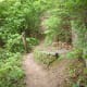 The Chestnut Trail at McDowell Nature Preserve, Charlotte, NC.