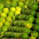 mosambi-sweet-lime-sweet-lemon-or-citrus-limetta-and-its-health-benefits