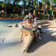 Amazing animal figures in Coolwaves Waterpark Resort!