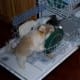 Just helping with the dishes