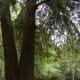 villa-in-the-park-adele-von-dietel