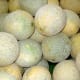 Cantaloupe from California