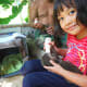 Our daughter has taken care of several types of wildlife orphans.