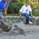 Otters are very curious and clever and work in family teams. The family does not break up until one of the parents dies.