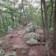 Amazing large rocks along the Rocktop Trail at Crowders Mountain State Park.