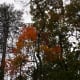 crowders-mountain-state-park