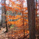 Winter time on the Ridgeline Trail Crowders Mountain State Park Kings Mountain, NC