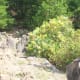 Here is a scene from atop The King's Pinnacle Crowders Mountain State Park Kings Mountain, NC